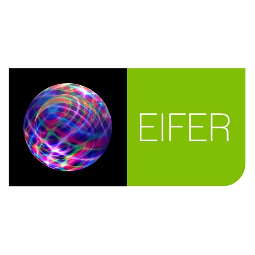 Logo-EIFER-500